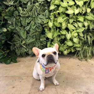 Meet your Posher, Trisha